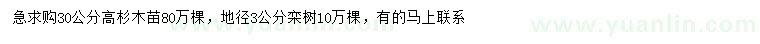 求購高30公分杉木苗、地徑3公分欒樹