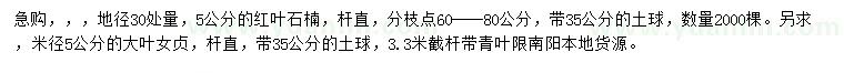 求購地徑30處量5公分紅葉石楠、5公分大葉女貞