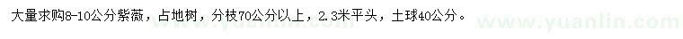 求購(gòu)8-10公分紫薇