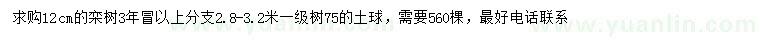 求購12公分欒樹