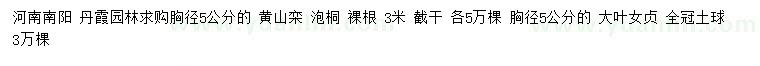 求購黃山欒、泡桐、大葉女貞