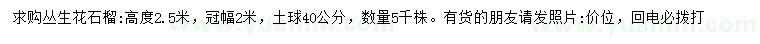 求購(gòu)高度2.5米叢生花石榴