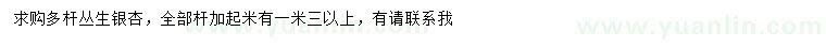求購(gòu)多桿叢生銀杏
