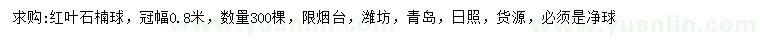 求購冠幅0.8米紅葉石楠球