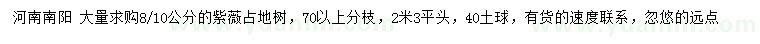求購8、10公分紫薇