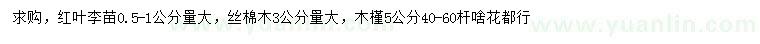 求購紅葉李、絲棉木、木槿