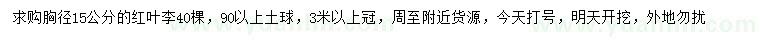 求購胸徑15公分紅葉李