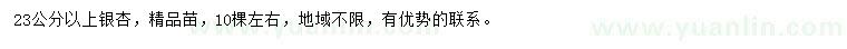 求購(gòu)23公分以上銀杏