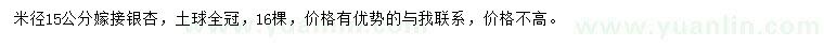 求購米徑15公分銀杏