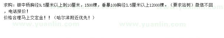 求購胸徑9.5-10公分銀中楊、3.5公分以上垂暴109