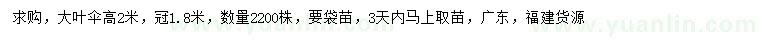 求購高2米大葉傘