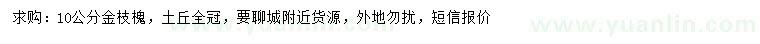 求購10公分金枝槐