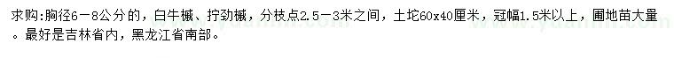 求購胸徑6-8公分白牛槭、擰勁槭