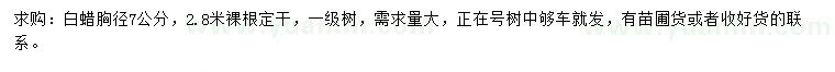 求購(gòu)胸徑7公分白蠟