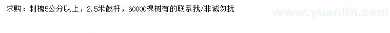求購(gòu)5公分以上刺槐