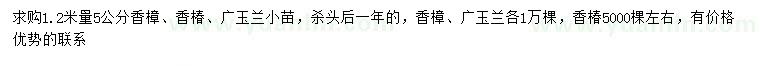 求購香樟小苗、香椿小苗、廣玉蘭小苗