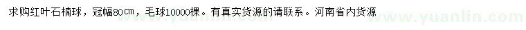 求購(gòu)冠幅80公分紅葉石楠球