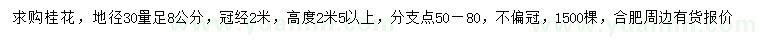 求購30量8公分桂花