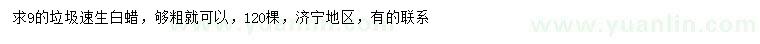求購9公分垃圾速生白蠟