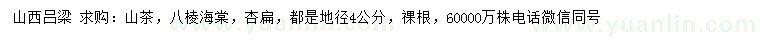 求購山茶、八棱海棠、杏扁