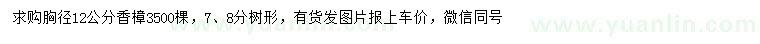 求購胸徑12公分香樟
