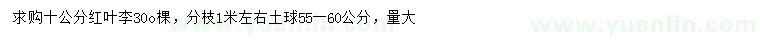 求購10公分紅葉李