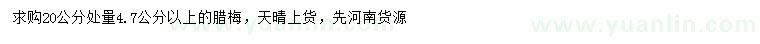 求購20公分處量4.7公分以上臘梅