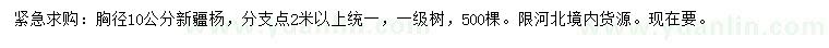 求購胸徑10公分新疆楊