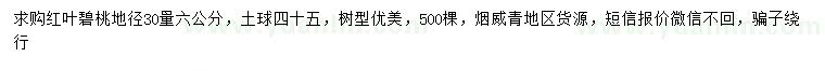 求購地徑30量6公分紅葉碧桃