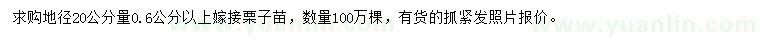 求購地徑20公分量0.6公分以上嫁接栗子苗