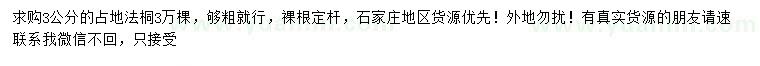 求購3公分占地法桐