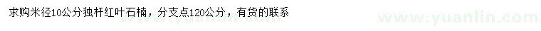 求購米徑10公分獨(dú)桿紅葉石楠