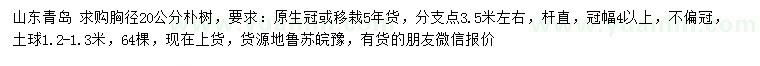 求購(gòu)胸徑20公分樸樹