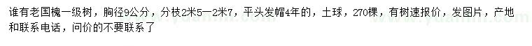 求購胸徑9公分老國槐