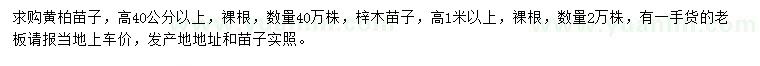 求購高40公分以上黃柏苗子、1米以上梓木苗子
