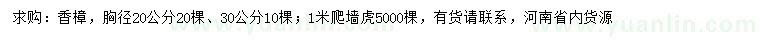 求購(gòu)胸徑20、30公分香樟、1米爬墻虎