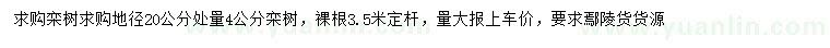 求購4公分欒樹