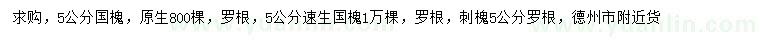求購國槐、速生國槐、刺槐