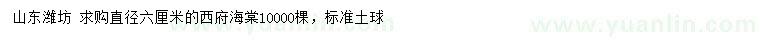 求購直徑6公分西府海棠