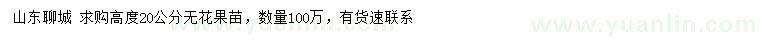 求購高度20公分無花果苗