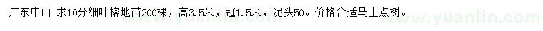 求購10公分細葉榕地苗
