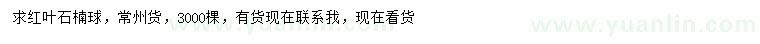 求購紅葉石楠球