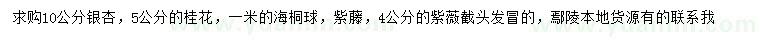 求購(gòu)銀杏、桂花、海桐球等