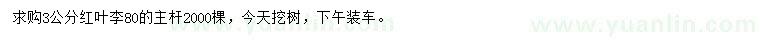 求購3公分紅葉李