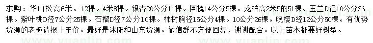 求購華山松、銀杏、國槐等