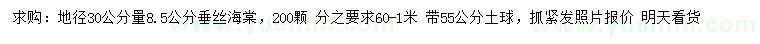 求購(gòu)地徑30公分量8.5公分垂絲海棠
