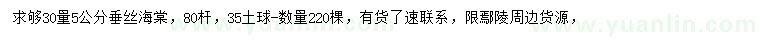 求購(gòu)30量5公分垂絲海棠