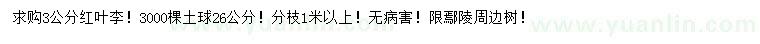 求購3公分紅葉李