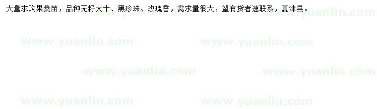 求購(gòu)果桑苗