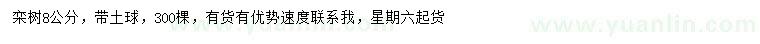 求購(gòu)欒樹8公分